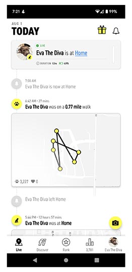 fi smart dog collar app on live tab