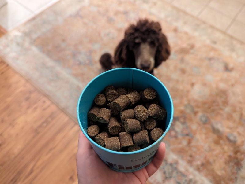 finn calming aid supplements in tin can