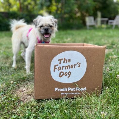 The Farmer’s Dog Fresh Dog Food Subscription