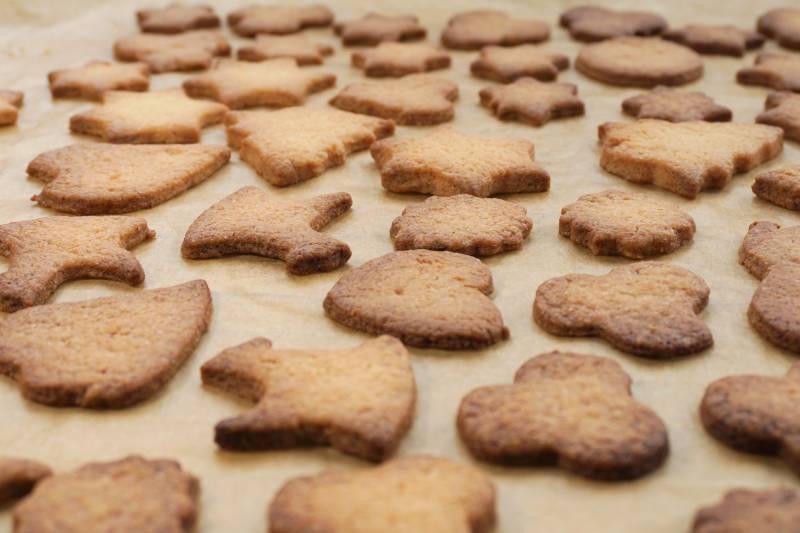 freshly baked biscuits