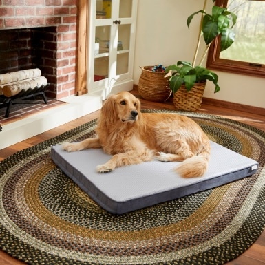 frisco cooling bed_chewy.com