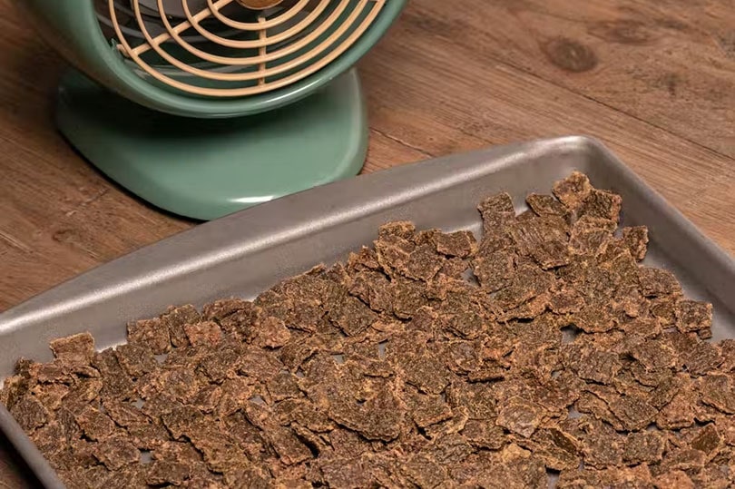 front of the pack air-dried food food in a container