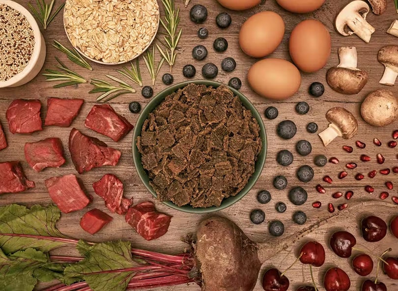 front of the pack dog food ingredients