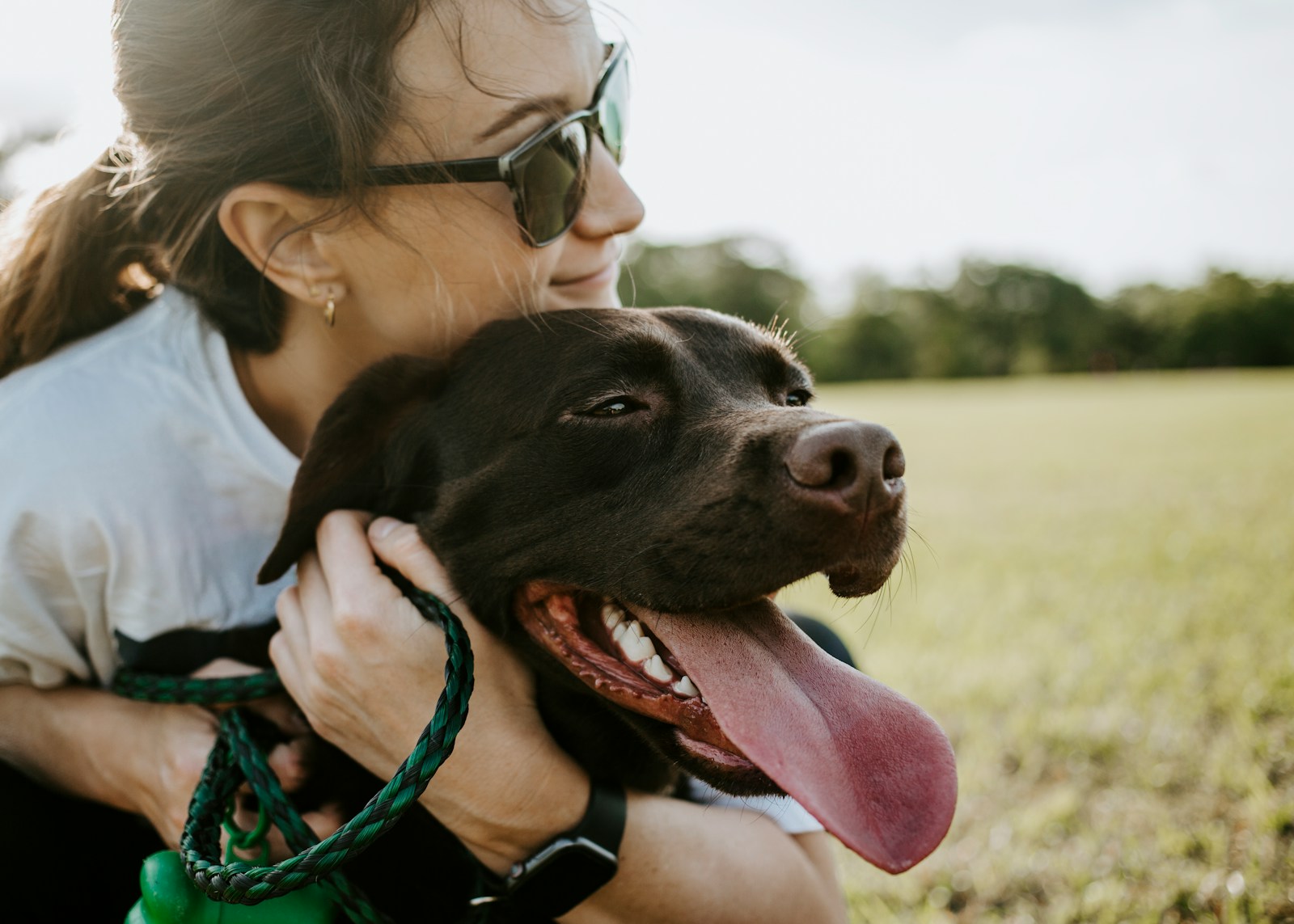 Woman hug the labrador chocolate brown