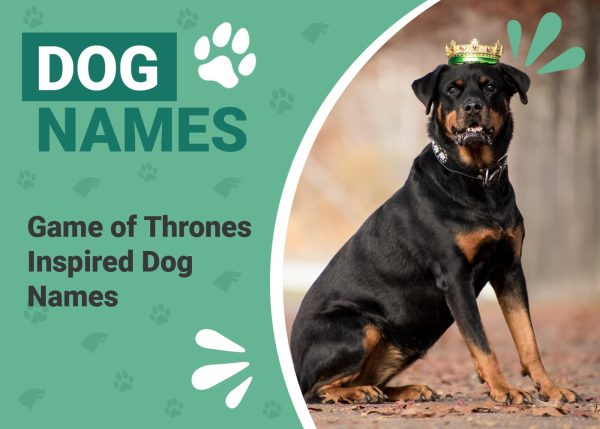 Game of Thrones-Inspired Dog Names