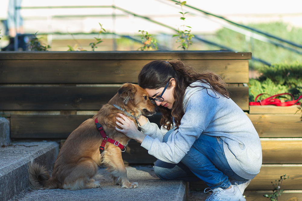 girl caresses emotional support dog