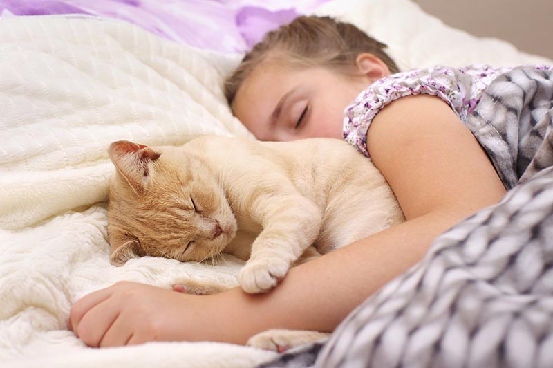 girl child sleeping with her dog