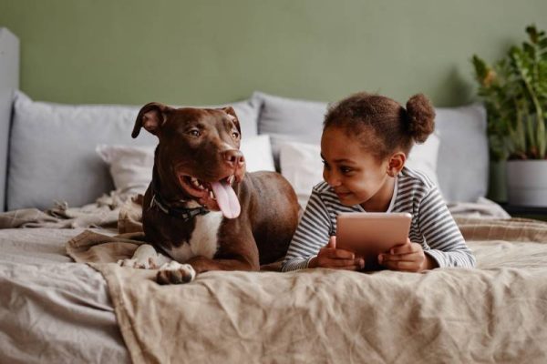 girl lying on bed with puitbull dog and smiling