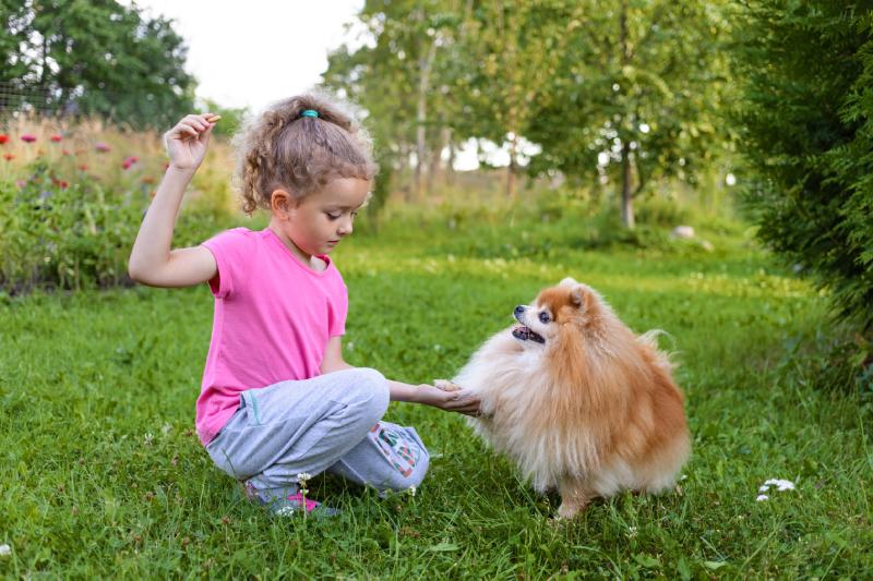girl training a pomeranian