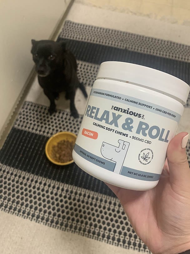 hand holding Anxious Pet Relax & Roll Calming Soft Chews with Chihuahua-Terrier mix dog in the background