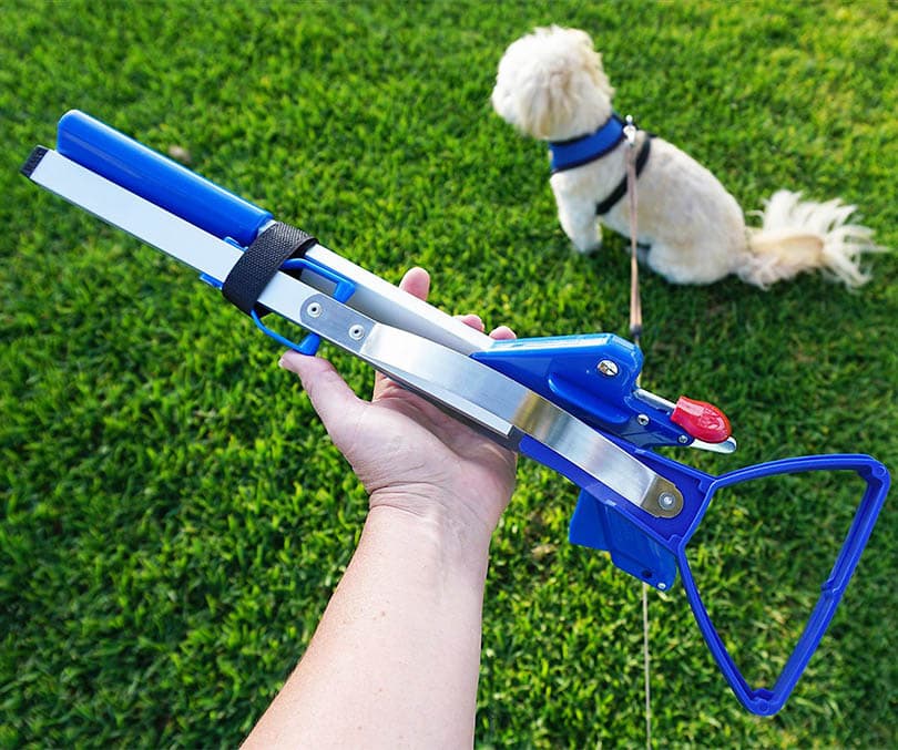 hand holding a pooper scooper over a dog