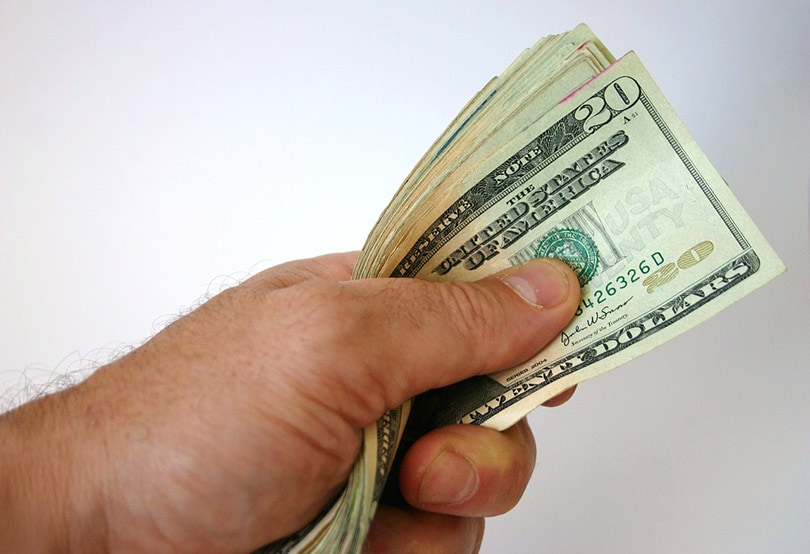 hand holding dollar notes