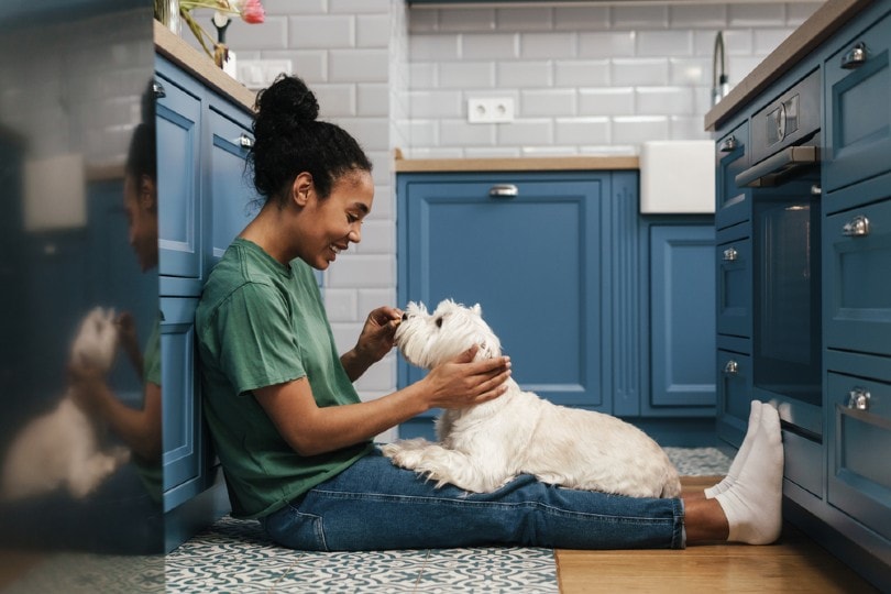 happy african woman with her pet dog