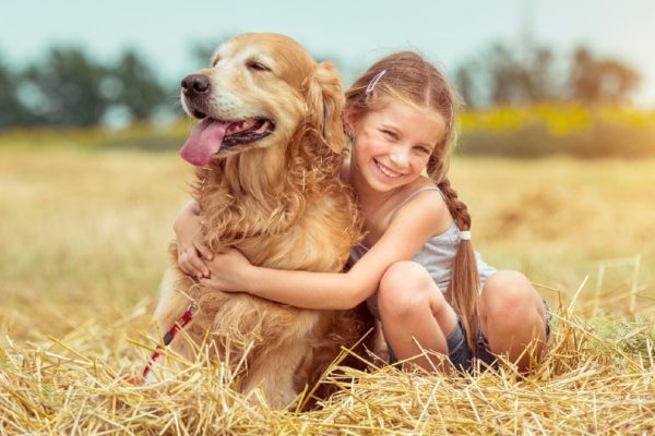happy little girl hugging her golden retriever dog