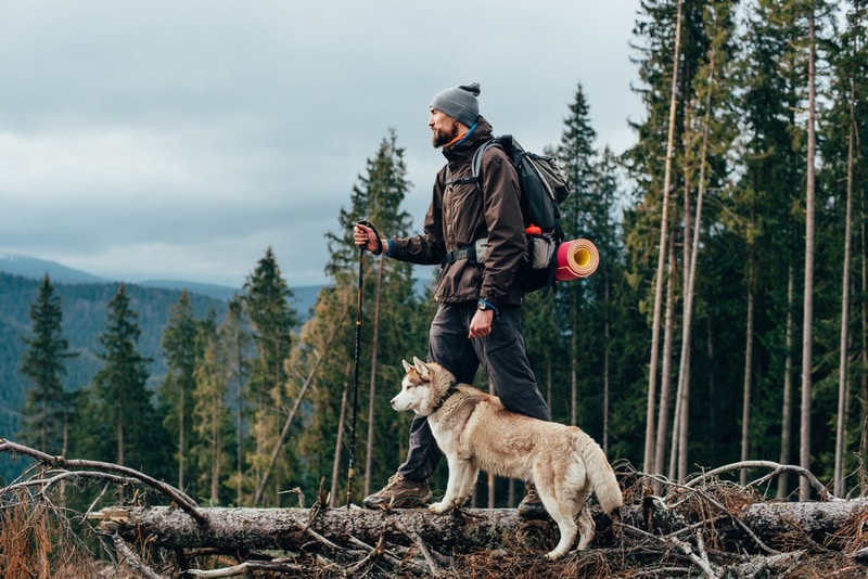 hiker-with-siberian-husky-dog