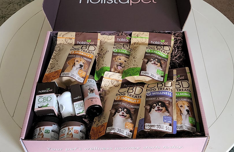 holistapet cbd products