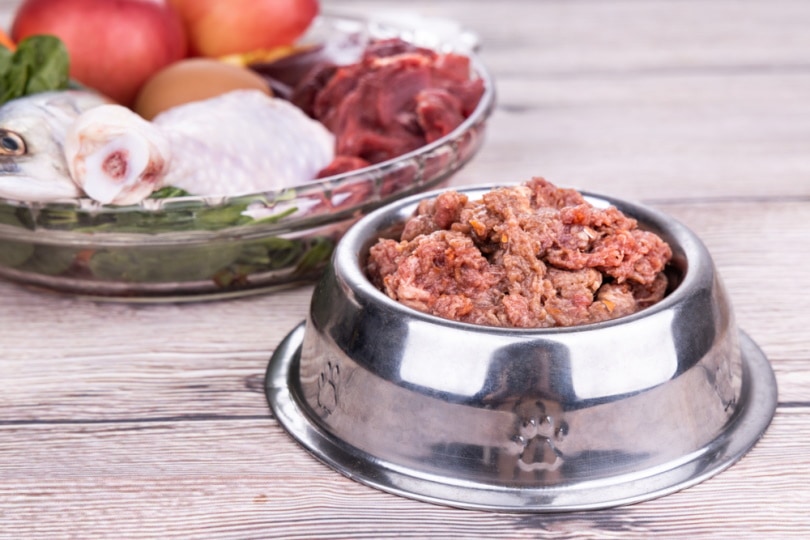 homemade dog food