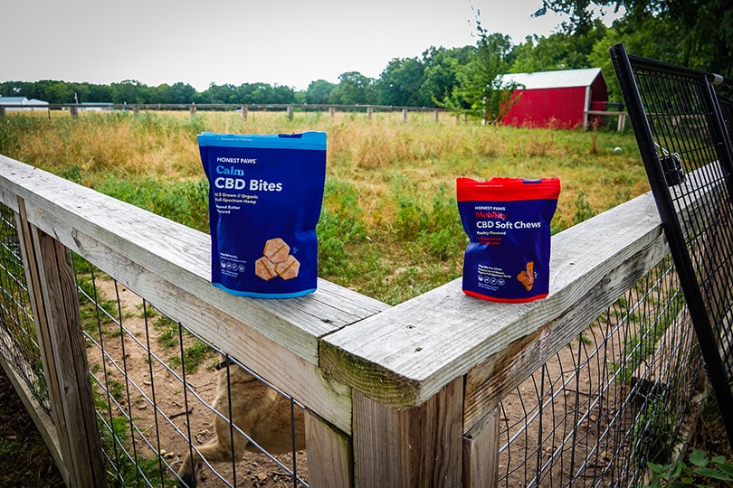 honest paws calm cbd bites and mobility soft chews