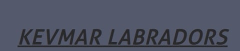 kevmar labrador logo