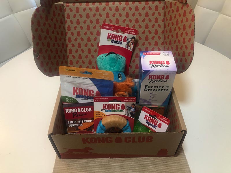 kong club subscription box