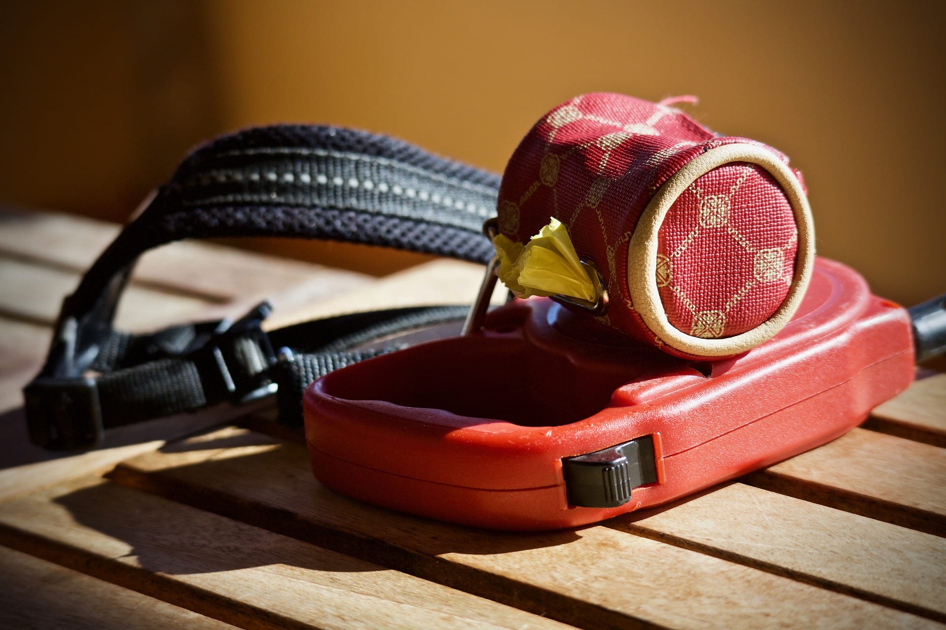 Dog leash and harness