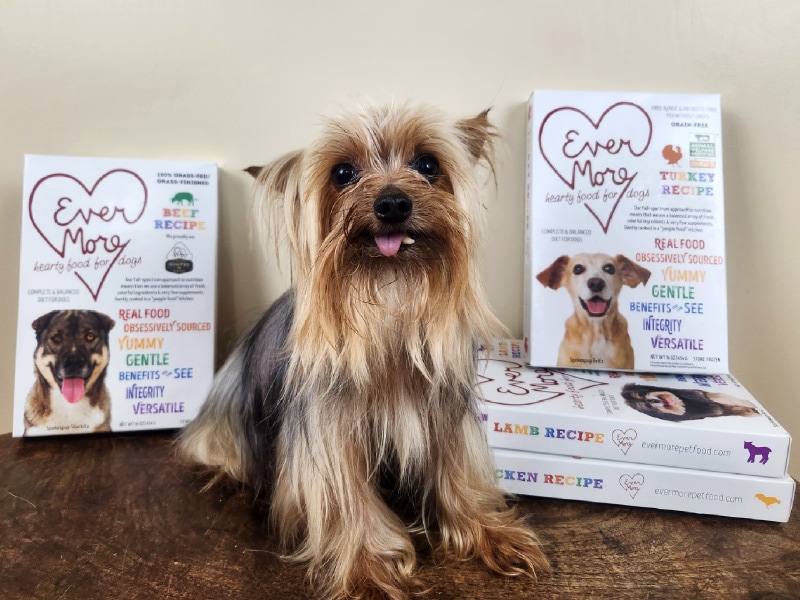 leo with evermore dog food boxes