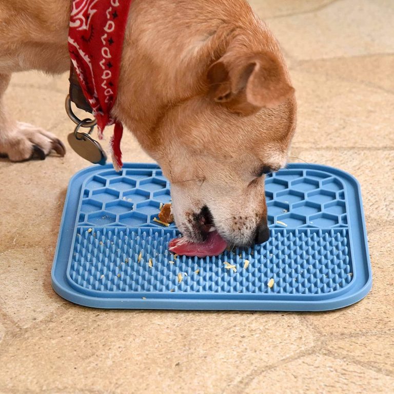 7 Benefits of Lick Mats for Dogs Canine Health and Wellness Dogster