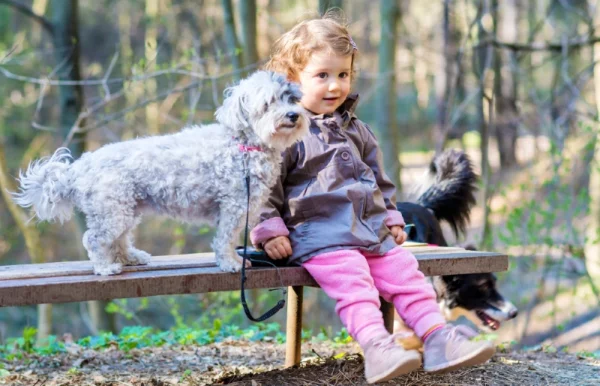 little girl sitting on a bench with a havanese dog