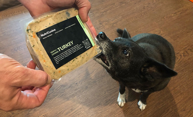 lorraina and nutricanine turkey packet