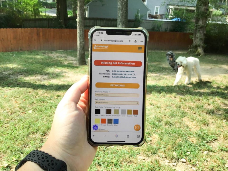 lost my doggie missing pet information