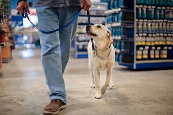 man and his dog at a pet store