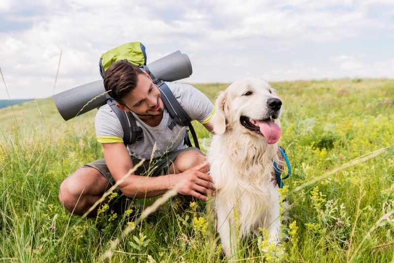 man-and-his-dog-in-green-meadows