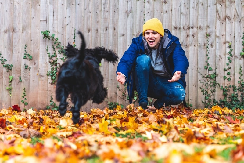 man-and-his-dog-playing-in-the-park