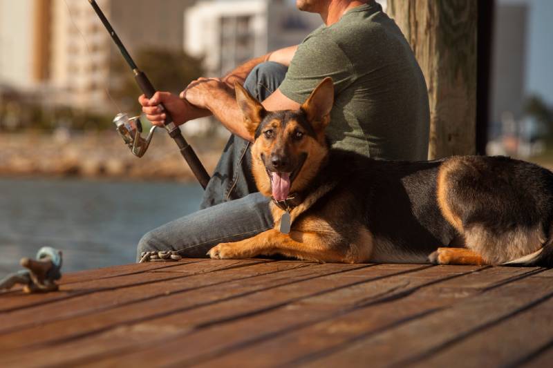 man fishing with German Shepered beside him