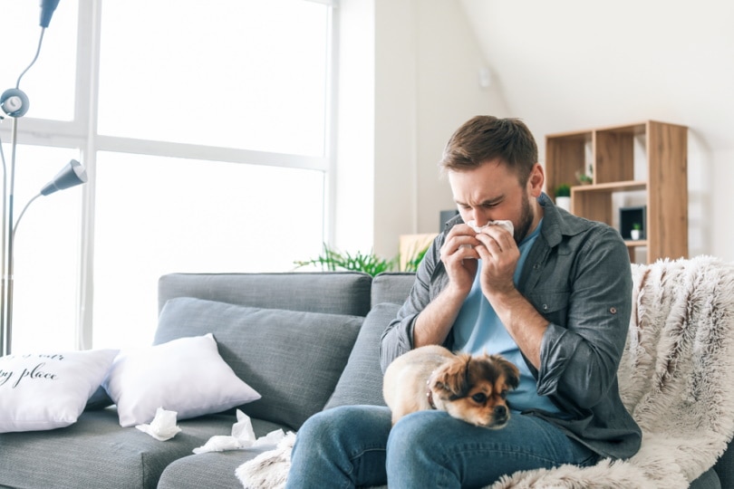 man having dog allergy