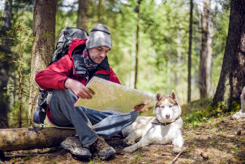 man with map and siberian husky dog