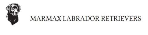 marmax labrador logo