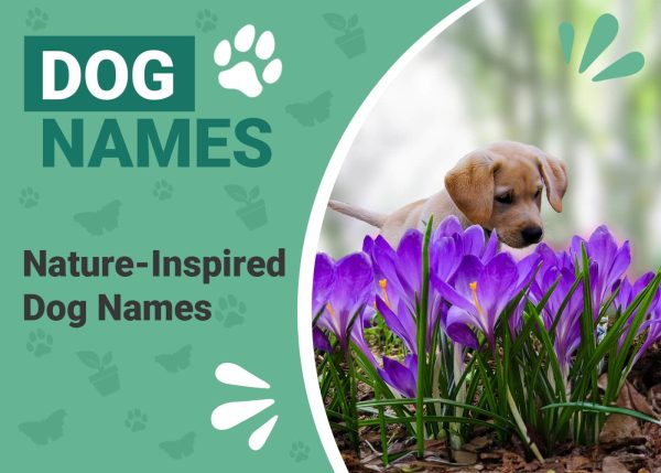 Nature Inspired Dog Names