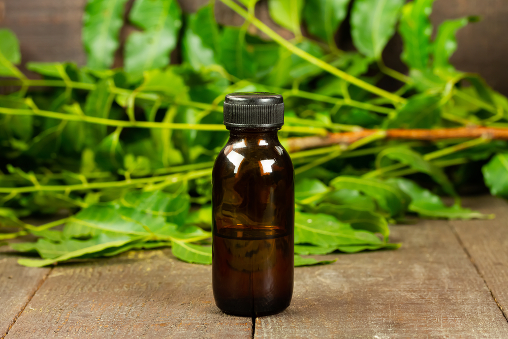 neem oil in bottle and neem leaf