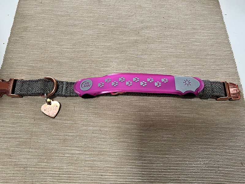 nitedog led collar cover