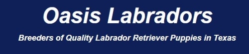 oasis labrador logo