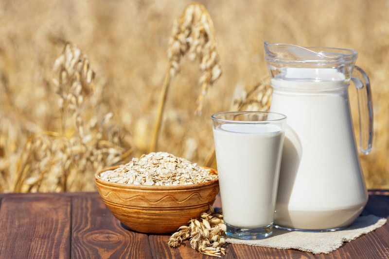 oat milk in a glass and jug