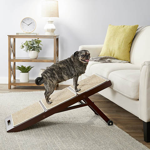 old dog using Merry Products Collapsible Cat & Dog Ramp