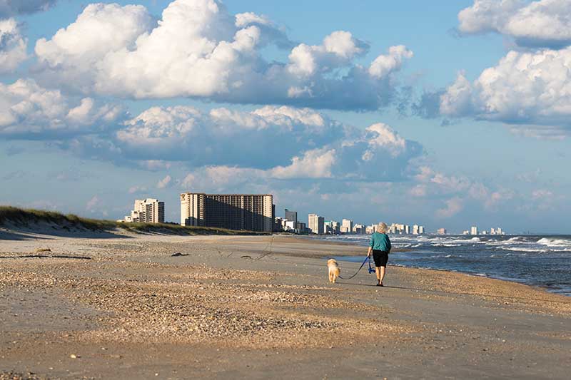 old woman walking a dog in myrtle beach