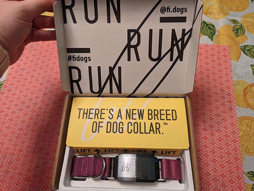 opened fi smart dog collar box