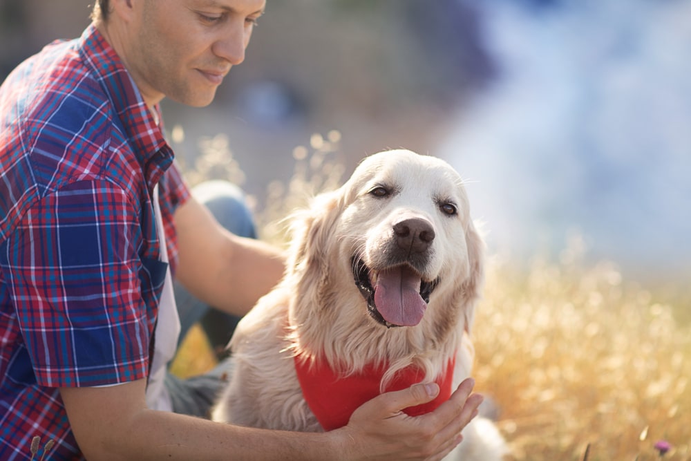 owner petting pup and pup smiling