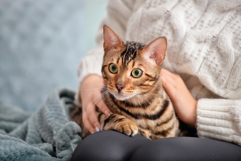 owner with her cat at home