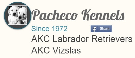 pachecokennelsmassachusetts