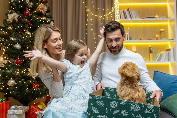 parents giving their child maltipoo as a gift