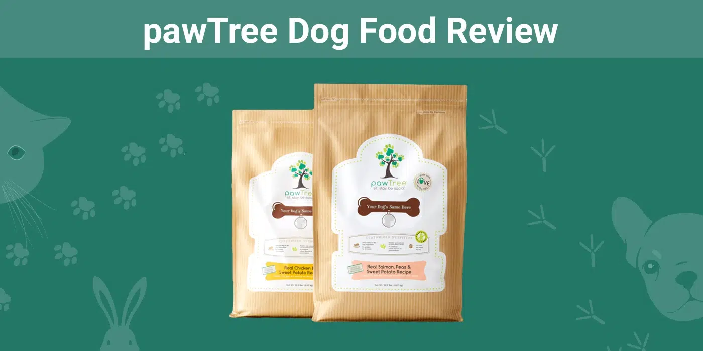 pawTree Dog Food - Featured Image